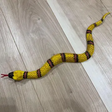 쭉 늘어나는 위험한 리얼 생물 뱀 뱀 뱀 대형 뱀