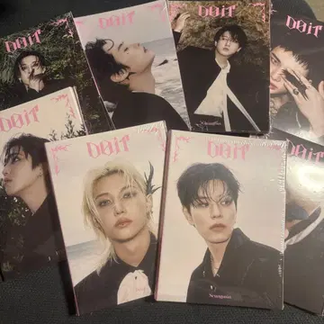 straykids 아코디언 CD