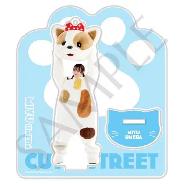 CUTIE STREET 우메다 미유 고양이 인형옷 아크릴 스탠드