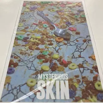 미스터리어스 스킨 팜플렛
