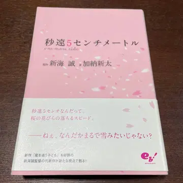 초속 5센티미터 one more side