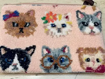 페이러 캣 파우치 미사용