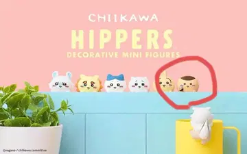 HIPPERS CHIIKAWA 히퍼스 치이카와 (먼작귀) [쿠리만슈]