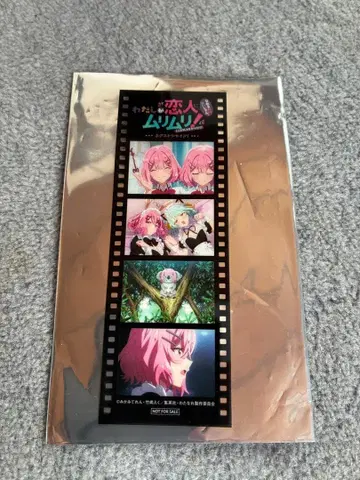 와타나레 입장 혜택 메모리얼 필름