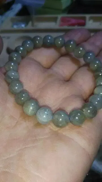 래브라도 라이트 팔찌