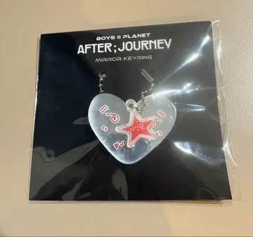 ALD1 산원 키링 알디원 보이플라2