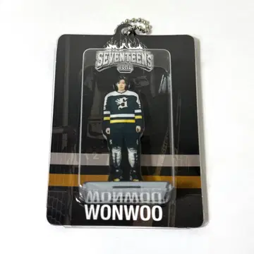 SEVENTEEN HOME 원우 아크릴 키링 아크링 키링