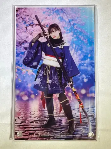 히나도서 쇼겐지 요코 아크릴 아트 패널