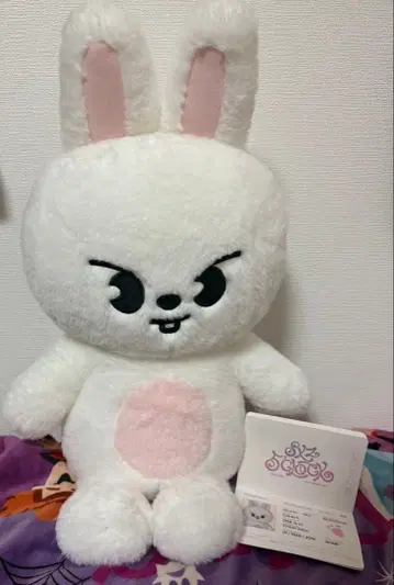 스키즈 테디베어 봉제 인형 리빗 리노