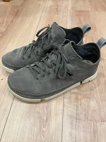 클락스 트라이제닉 고어텍스 29cm