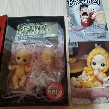 FELIX사 작은 위로 브라우니