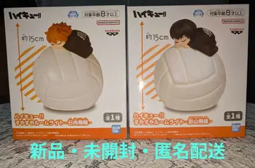 하이큐  룸 라이트 히나타 쇼요 & 카게야마 토비오 2개 세트