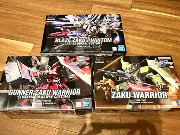 건담 프라모델 HG 건담 SEED DESTINY 자쿠 3체 세트