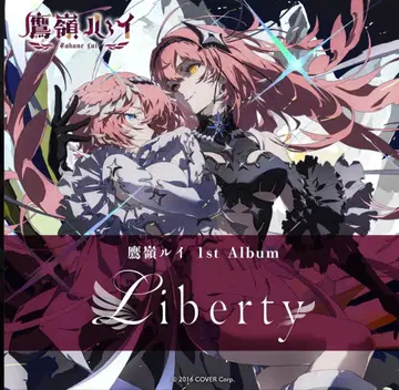 타카미네 루이 Liberty 미개봉 새상품
