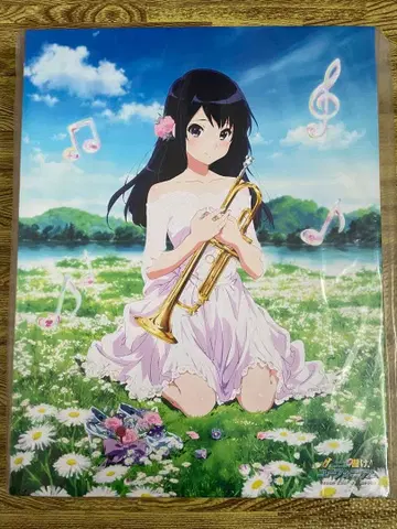 울려라! 유포니움 코사카 레이나 캔버스 아트