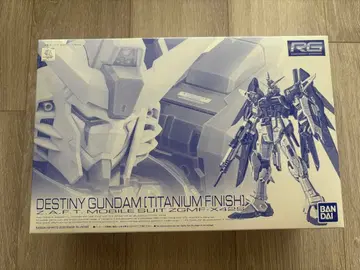 RG DESTINY GUNDAM (TITANIUM FINISH) 건담