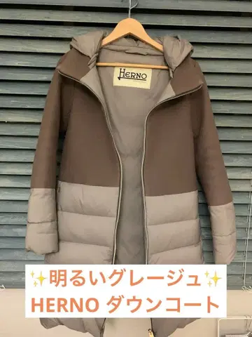 밝은 그레이지 HERNO 헬노 울 믹스 롱 다운 38