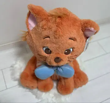 코스트코 툴루즈 오샤레 캣 봉제 인형 Costco