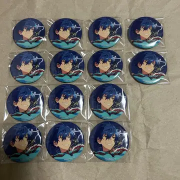 사자나미 쥰 캔뱃지4