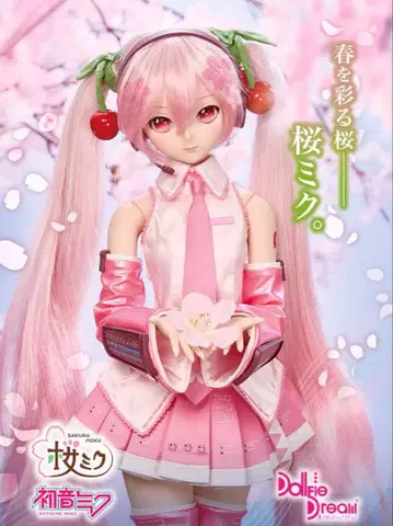 보크스 돌피드림 벚꽃 미쿠 DD