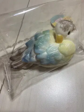 해외 스퀴즈 새 쪼물쪼물