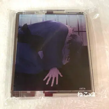 후르츠 바스켓 문이 달린 아크릴 스탠드 B 아키토 & 토우지