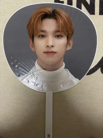 SEVENTEEN 세부치 도겸 부채