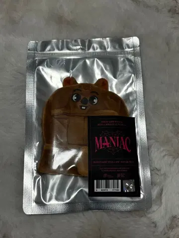 straykids MANIAC 한 응원봉 커버