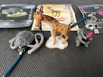 세계의 진기한 동물 캡슐 토이 세트 3체