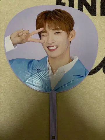 SEVENTEEN 세부치 도겸 부채