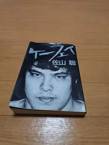 케이페이 사야마 사토시