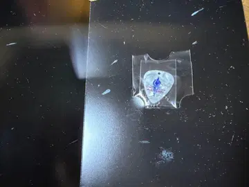 쿄모토 타이카 BLUE OF LIBERTY 초회반 기타 피크 참 특전만