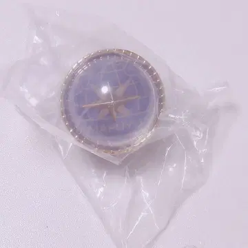 프로세카 세카라이 린라이 링라이트 니고 아사히나 마후유