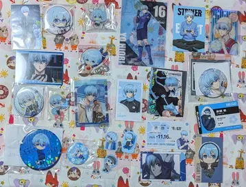 블루 록 효리 양 묶음 판매