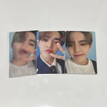 에스쿱스 DREAM 트레이딩 카드