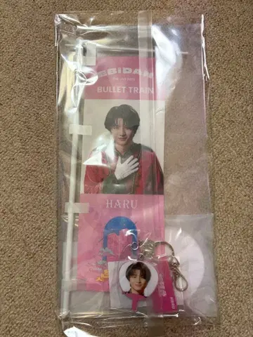 최애 멤버 세트 미니 배너 미니 부채 참 키링 초특급 하루