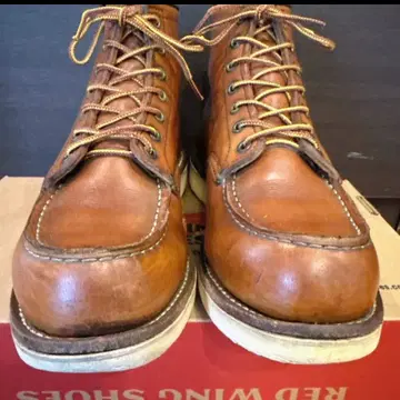 [ 각인 비둘기 구멍 11년 7.5E ] 레드윙 875 아이리쉬 세터