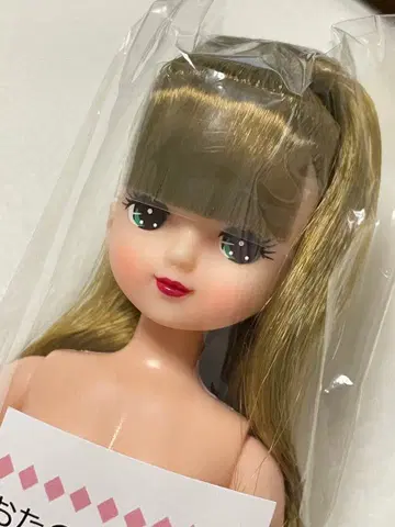 리카짱 캐슬 오타노시미 인형 키라짱 포니테일 빨간 립