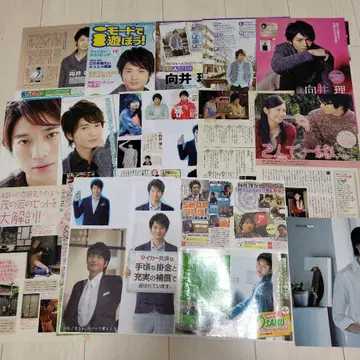 3 무카이 리 키리누키 38페이지 전단지 클리어 파일 키리누키 덤