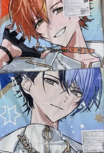 프로세카 시노노메 아키토 아오야기 토우야 감사제 빅 타월