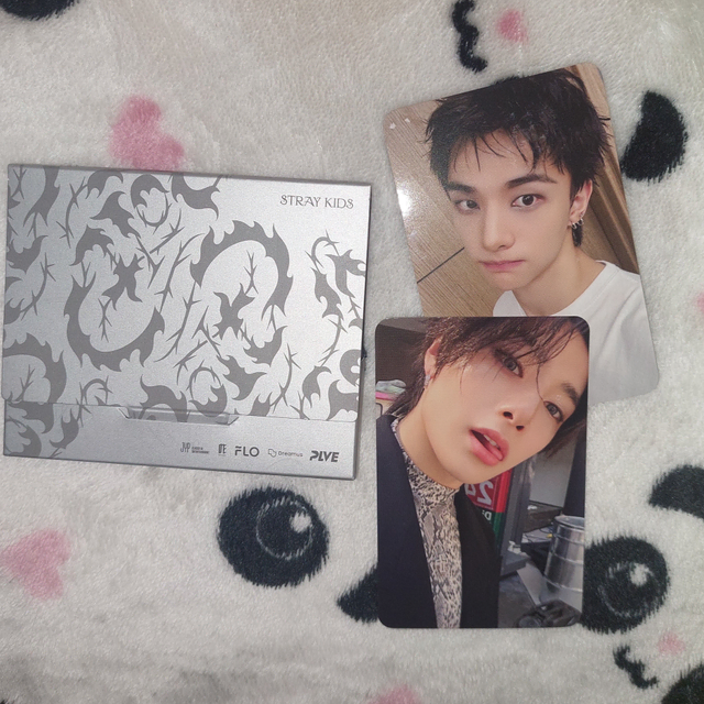 스키즈 두잇 Do It 플랫폼 PLVE ver. 앨범 현진 아이엔 포카