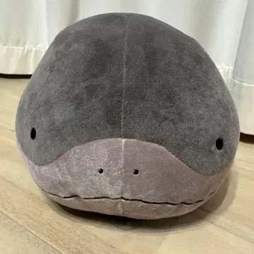 포켓몬스터 메챠모후굿토 봉제 인형 도오