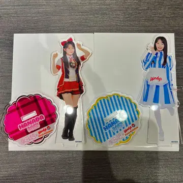 AKB48 하나다 아이 아크릴 스탠드 아크스타 Wendy's 웨엔디즈