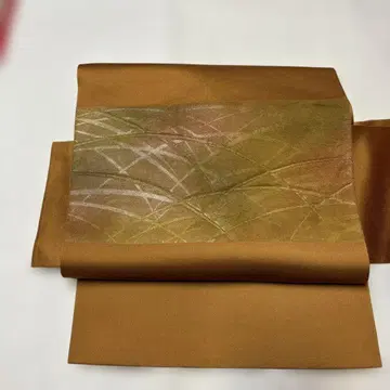 나고야 오비 브라운 브라운 브라운