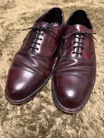 플로샤임 로열 임페리얼 플로샤임 코도반