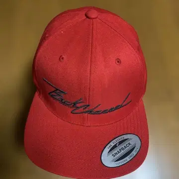 Back Channel 캡 백 채널 모자