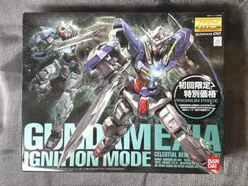 MG 건담 엑시아 미조립