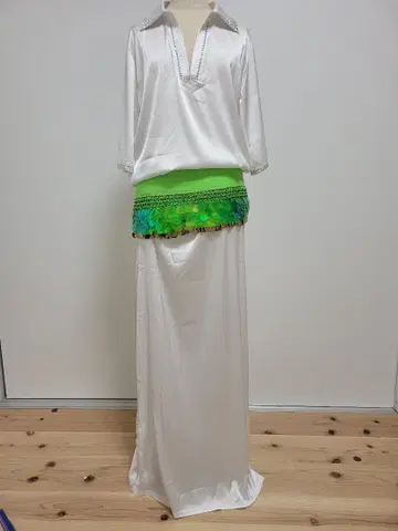 밸리댄스 화이트 파라디 의상