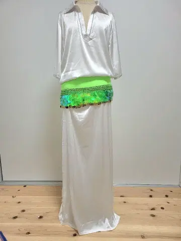 밸리댄스 화이트 파라디 의상