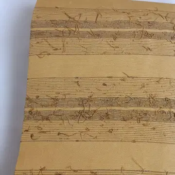 겨자색 수염 명주 나고야 오비